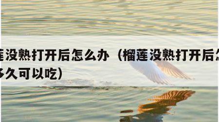 榴莲没熟打开后怎么办（榴莲没熟打开后怎么办多久可以吃）