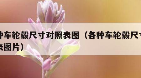 各种车轮毂尺寸对照表图（各种车轮毂尺寸对照表图片）