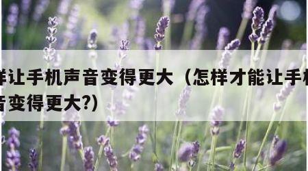 怎样让手机声音变得更大（怎样才能让手机的声音变得更大?）