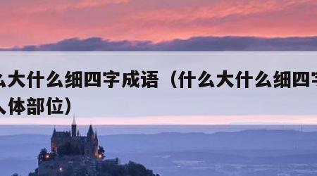 什么大什么细四字成语（什么大什么细四字成语人体部位）