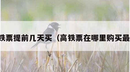 高铁票提前几天买（高铁票在哪里购买最好）