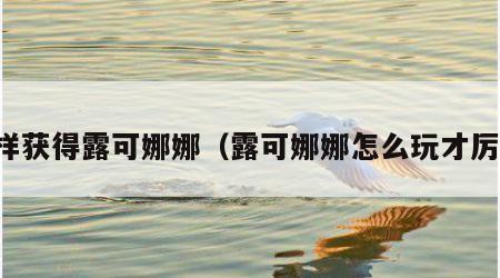 怎样获得露可娜娜（露可娜娜怎么玩才厉害）