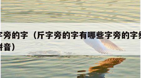 斤字旁的字（斤字旁的字有哪些字旁的字组词和拼音）