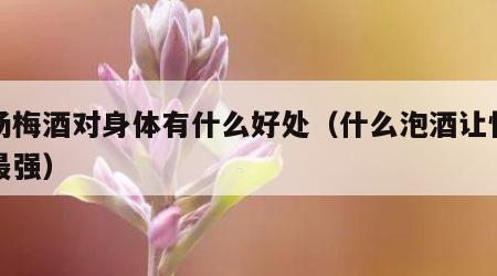 喝杨梅酒对身体有什么好处（什么泡酒让性功能最强）