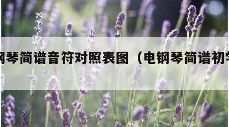 电钢琴简谱音符对照表图（电钢琴简谱初学视频）