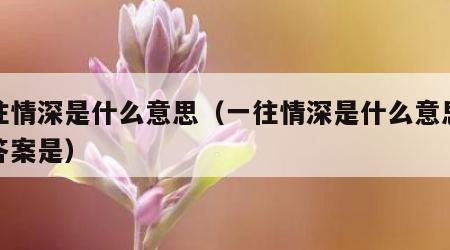 一往情深是什么意思（一往情深是什么意思最佳答案是）