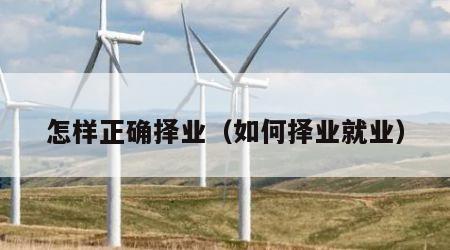 怎样正确择业（如何择业就业）