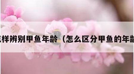 怎样辨别甲鱼年龄（怎么区分甲鱼的年龄）