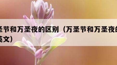 万圣节和万圣夜的区别（万圣节和万圣夜的区别英文）