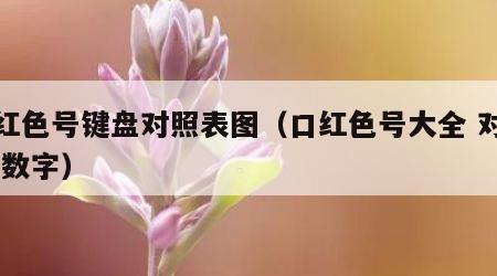 口红色号键盘对照表图（口红色号大全 对照表 数字）
