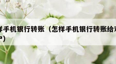 怎样手机银行转账（怎样手机银行转账给对公账户）