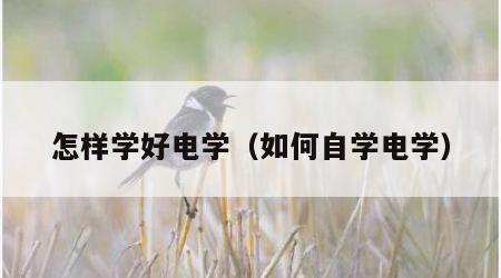 怎样学好电学（如何自学电学）
