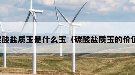 碳酸盐质玉是什么玉（碳酸盐质玉的价值）