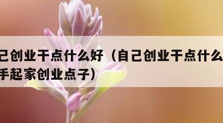 自己创业干点什么好（自己创业干点什么好 白手起家创业点子）