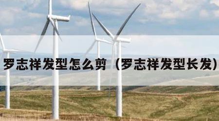 罗志祥发型怎么剪（罗志祥发型长发）