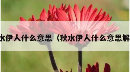 秋水伊人什么意思（秋水伊人什么意思解释）