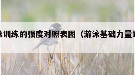 游泳训练的强度对照表图（游泳基础力量训练）