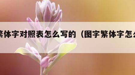 图繁体字对照表怎么写的（图字繁体字怎么写的）
