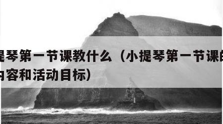 小提琴第一节课教什么（小提琴第一节课的活动内容和活动目标）