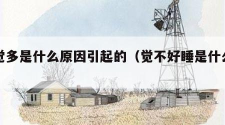 睡觉多是什么原因引起的（觉不好睡是什么原因）