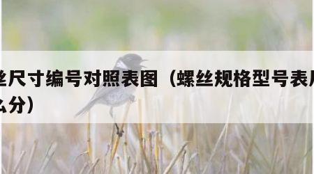 螺丝尺寸编号对照表图（螺丝规格型号表尺寸怎么分）