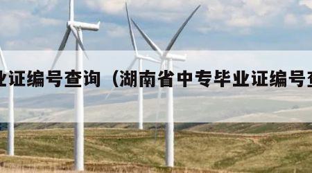 毕业证编号查询（湖南省中专毕业证编号查询）