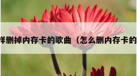 怎样删掉内存卡的歌曲（怎么删内存卡的歌）