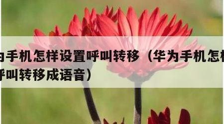 华为手机怎样设置呼叫转移（华为手机怎样设置呼叫转移成语音）