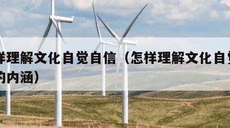 怎样理解文化自觉自信（怎样理解文化自觉自信的内涵）