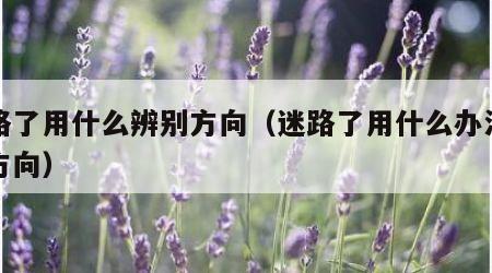 迷路了用什么辨别方向（迷路了用什么办法辨认方向）