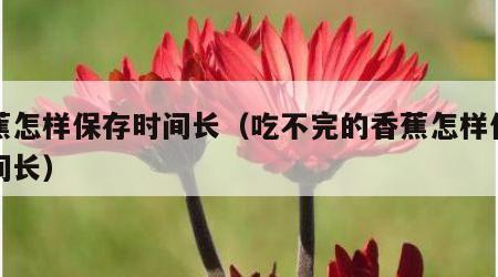 香蕉怎样保存时间长（吃不完的香蕉怎样保存时间长）