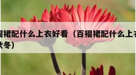 百褶裙配什么上衣好看（百褶裙配什么上衣好看秋冬）