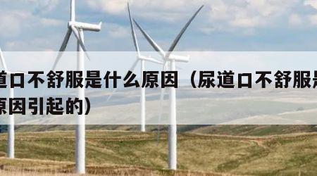 尿道口不舒服是什么原因（尿道口不舒服是什么原因引起的）