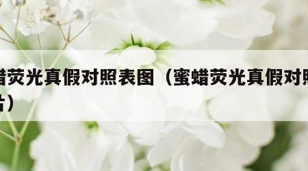 蜜蜡荧光真假对照表图（蜜蜡荧光真假对照表图片）
