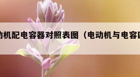 电动机配电容器对照表图（电动机与电容匹配）