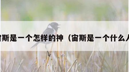 宙斯是一个怎样的神（宙斯是一个什么人）