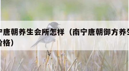 南宁唐朝养生会所怎样（南宁唐朝御方养生会所价格）