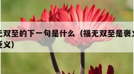 福无双至的下一句是什么（福无双至是褒义还是贬义）