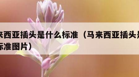 马来西亚插头是什么标准（马来西亚插头是什么标准图片）