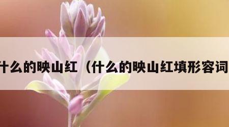 什么的映山红（什么的映山红填形容词）