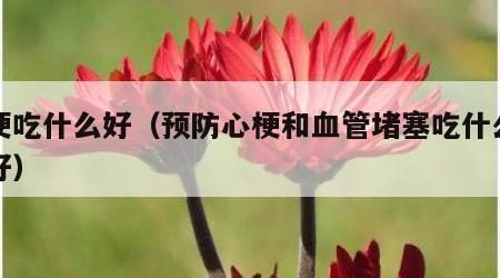 心梗吃什么好（预防心梗和血管堵塞吃什么药最好）