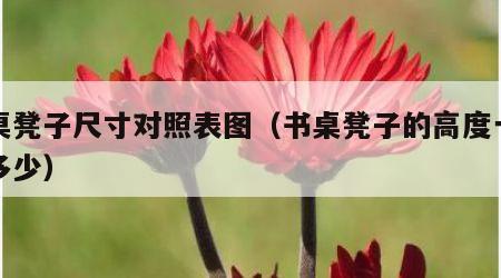 书桌凳子尺寸对照表图（书桌凳子的高度一般是多少）