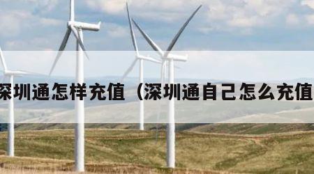 深圳通怎样充值（深圳通自己怎么充值）
