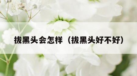 拔黑头会怎样（拔黑头好不好）