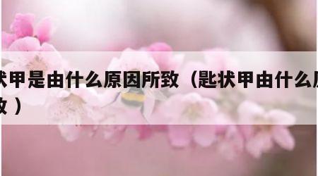 匙状甲是由什么原因所致（匙状甲由什么原因所致 ）