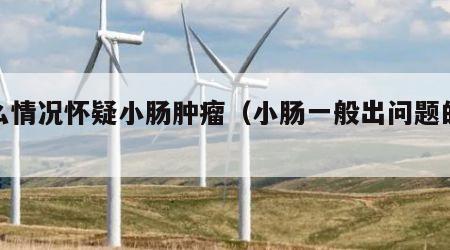 什么情况怀疑小肠肿瘤（小肠一般出问题的征兆）