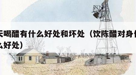 每天喝醋有什么好处和坏处（饮陈醋对身体有什么好处）
