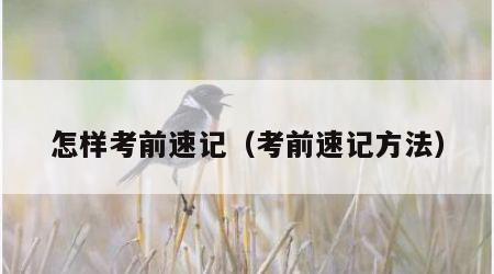 怎样考前速记（考前速记方法）