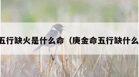 五行缺火是什么命（庚金命五行缺什么）