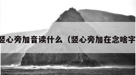 竖心旁加音读什么（竖心旁加在念啥字）